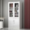 2-door half glass metallic cabinet, office storage, durable construction, secure locking mechanism, organizational solution, executive office furniture, professional appearance, high-quality materials, secure storage, office decor, filing cabinet, storage solution, contemporary design, sturdy construction, commercial use, office organization, functional design, efficient storage, office interior, industrial office furniture, metal cabinet, glass door cabinet, versatile storage, space-saving solution, office security, organizational efficiency, professional workspace, glass display cabinet.