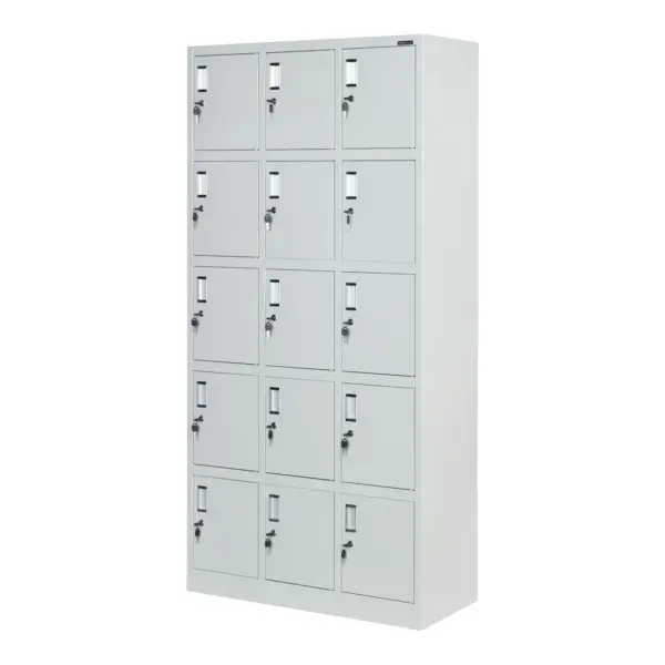 15 Lockers steel office cabinet, office storage, durable construction, spacious compartments, locking mechanism, organization solution, executive office furniture, professional appearance, versatile storage, high-quality materials, secure storage, office decor, filing cabinet, office organization, steel storage unit, office furniture, executive cabinet, storage solution, office essentials, contemporary design, office storage, executive style, office decor, sturdy construction, commercial use, office organization, office furniture, modern office cabinet, functional design, efficient storage, office interior.